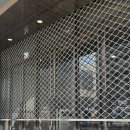 현무 | [예물] 롤렉스 성골 여정기 3탄(feat. 평일 현무 롤렉스 오픈런&amp;롯잠+압본 평일 워크인 후기)