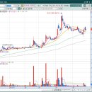 에스비아이코리아 이미지