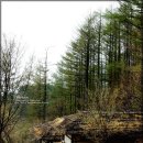 청학동(도인촌) 이미지