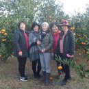 이학영 농장 이미지