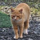 규리네밤하늘 이미지