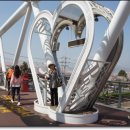 낙동강제방(1) 이미지