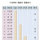 [삼국 사회의 모습] 신라의 골품제도와 화랑도 이미지