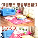 ★[덤핑/한정수량]고급밍크 담요110cmx140cm(+-5)5500원&밍크방석-2,200원) 이미지