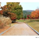 내장산 단풍생태공원 이미지