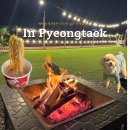 평택에서TOP | 평택 독채캠핑장 TOP캠핑 정보 자세한 후기