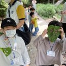 대죽도 유아숲체험원 이미지