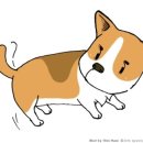 강아지왈츠 이미지