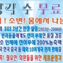 여주-0260 Daum카페