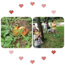 광명생명숲어린이집 이미지