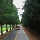 등대로R 이미지