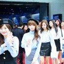 모모 이미지