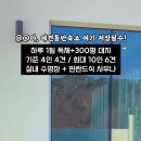 로이스애견풀빌라 이미지