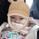 댕이맘마 이미지