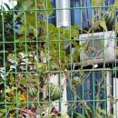 성혜내과의원 이미지