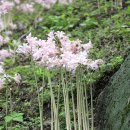 어물동마애여래좌상 이미지