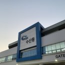 박씨청과