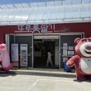 가나안농장1 | 논산 딸기농장 딸기체험 내돈내산 솔직후기 또로롱딸기 비타베리 딸기모찌 소신발언