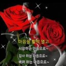 맛있는하루 이미지