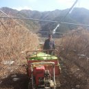 산적농장 이미지