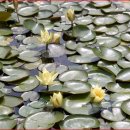 순천만 여행 이미지