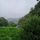 당재민박 이미지