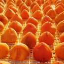 웰빙 쇼핑몰 이미지