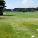 코리아CC콘도미니엄 이미지