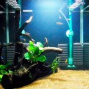 바브네이쳐 이미지