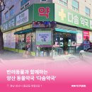 다솜약국 이미지