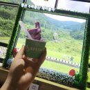 정선 가리왕산케이블카 일오육일카페 둘러보기 (록카페, 키즈카페)