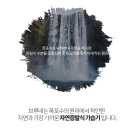 브루네 | 자연기화식 가습기 추천 독일 브루네 BRUNE11 아기 자연 기화 가습기 11L 후기