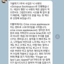 리틀빅라이브러리