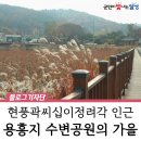 현풍곽씨십이정려각 이미지