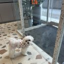 해림동물병원 이미지