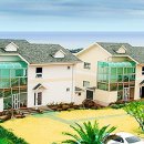 뜨레피아 이미지