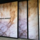 Lisson Gallery &lt;Marina Abramović: Seven Deaths&gt; 전시회 후기