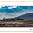 순천만 풍경 이미지