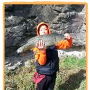 부엉덤이 이미지