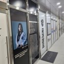 경희대국가대표태권도장 이미지