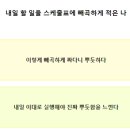 라임 P.T 이미지