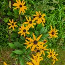 교육 동기생 소식(12) 이미지