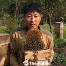 봉은축산 네이버블로그