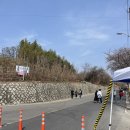 나무아래서(푸드트럭) | 2026 사천 선진리성 벚꽃축제 무형유산축제 후기 개화율 주차 먹거리