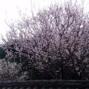미래사(통영)