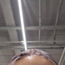 강남대로4-3 | 강남역 미용실 아이디헤어 강남대로점 레드브라운 염색 후기