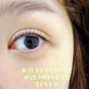 봄날속눈썹 - 양주시 | 김포속눈썹펌추천 유지력최고에 속눈썹펌 잘하는곳 봄날 속눈썹 방문후기