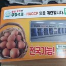 좋은계란 이미지