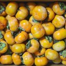 삼화농장 이미지