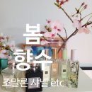 봄 향수 추천 중성향수ok (조말론 향수 많음, 레조 드 샤넬 베니스 도빌 etc.)
